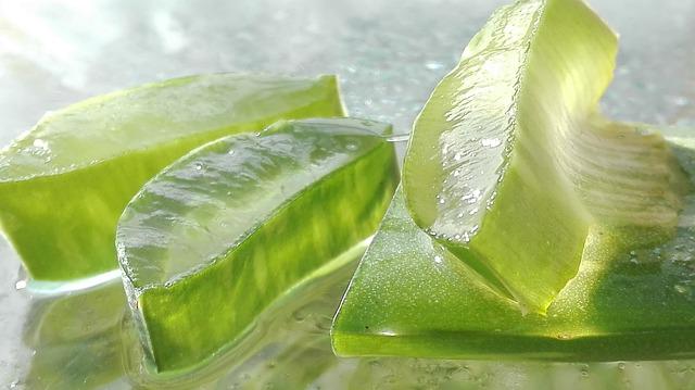 3 Reasons To Use Aloe Vera in Your Bath